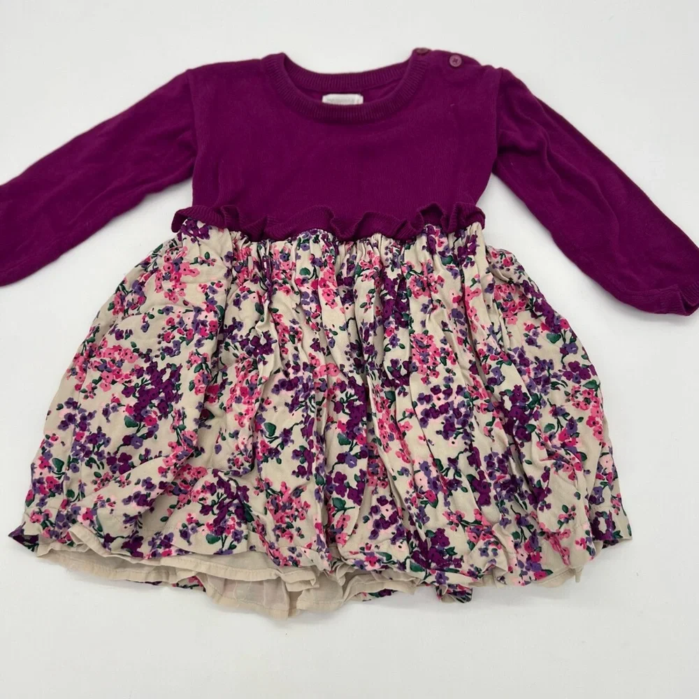 Gymboree Girls Dress Purple Floral Long Sleeves 2T